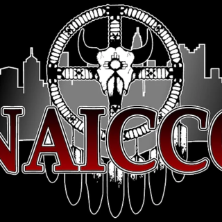 NAICCO logo
