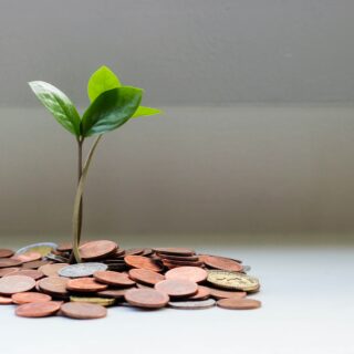 Young plant sticking out of pile of coins