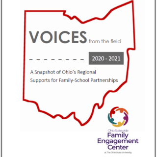 Voices from the field report cover, a regional snapshot of practices