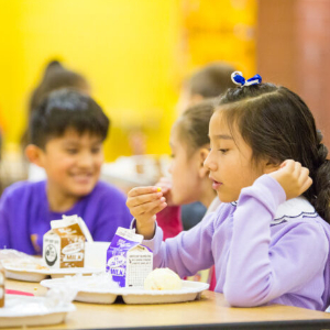 Children eating a meal at school